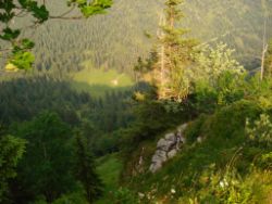 2013-07-20_Regina-F-Rau_Kochel-Rabenkopf (448).JPG